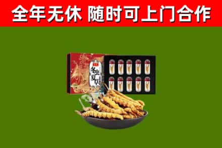 香洲烟酒回收冬虫夏草礼盒.jpg